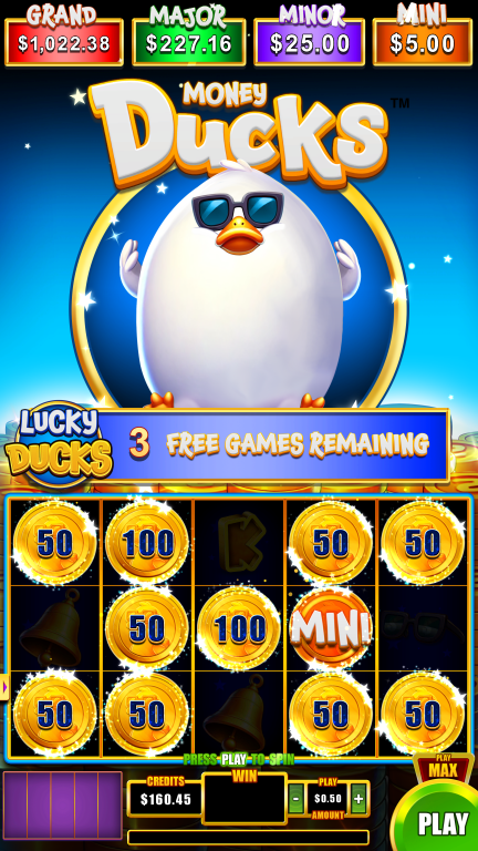 Money Ducks 5x3 screenshot